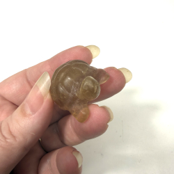 Gul Fluorit skilpadde 