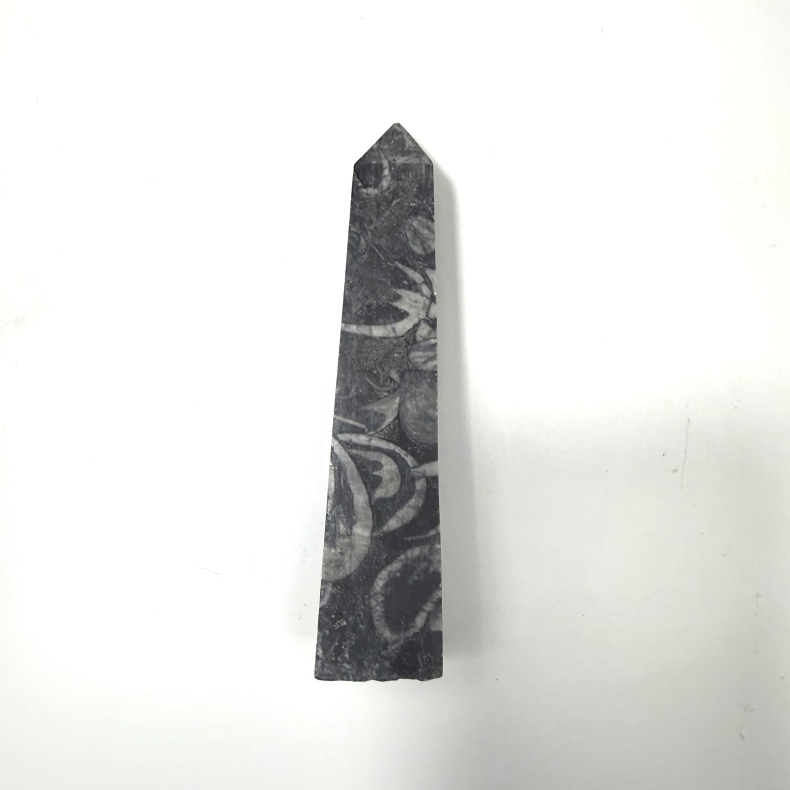 Ortoceratit slebet t�rn 