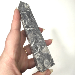 Ortoceratit slebet t�rn 