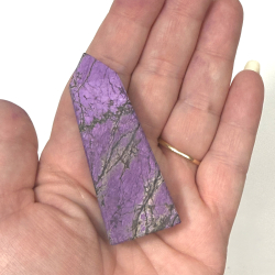 Purpurit T�rn asos 