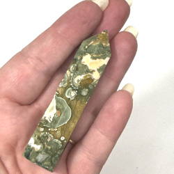 Regnskovs Jaspis t�rn B 