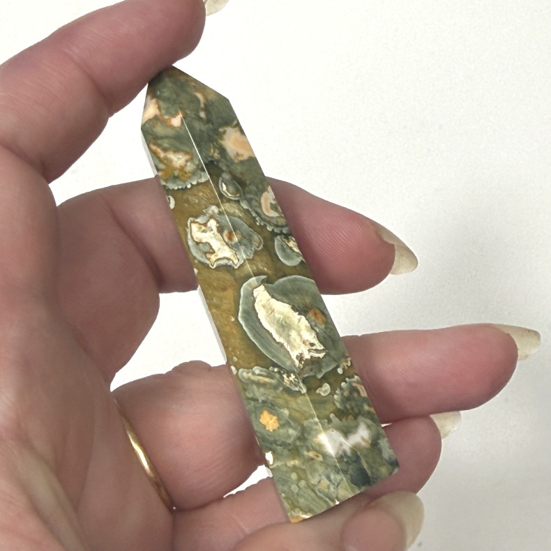 Regnskovs Jaspis t�rn B 