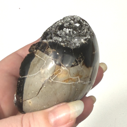 Septarie �g m kvarts A 