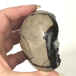 Septarie �g m kvarts A 