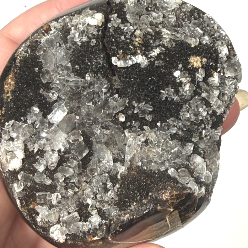 Septarie �g m kvarts A 