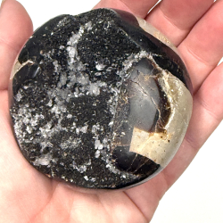 Septarie �g m kvarts B 