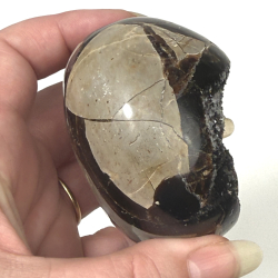 Septarie �g m kvarts B 