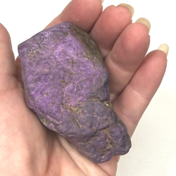 Purpurit klynger asos 