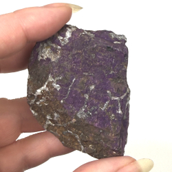 Purpurit klynger asos 