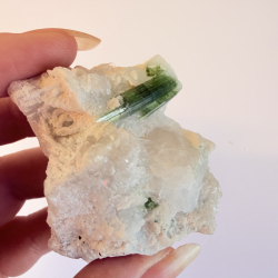 Gr�n Turmalin i Albit klynge B 