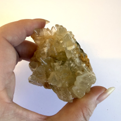 Hundetands Calcit klynger asos 