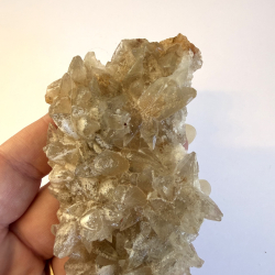 Hundetands Calcit klynger asos 