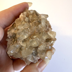 Hundetands Calcit klynger asos 