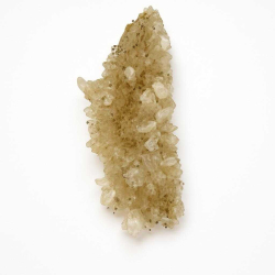 Golden healer klynge B 