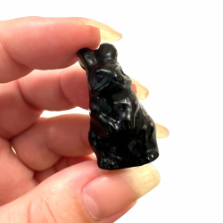 Sort Obsidian, Kanin