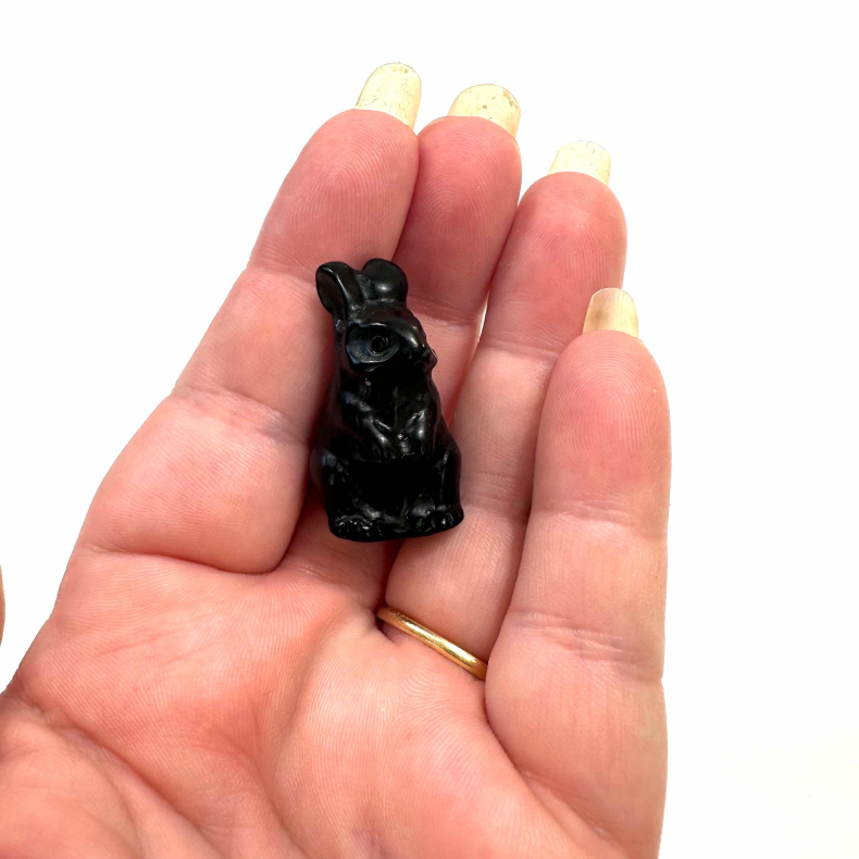 Sort Obsidian, Kanin