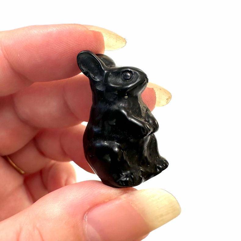 Sort Obsidian, Kanin