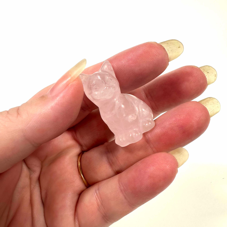 Rosakvarts, siddende kat