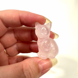 Rosakvarts, siddende kat