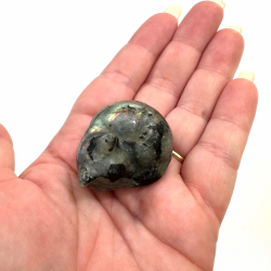 Labradorit, sovende kat 