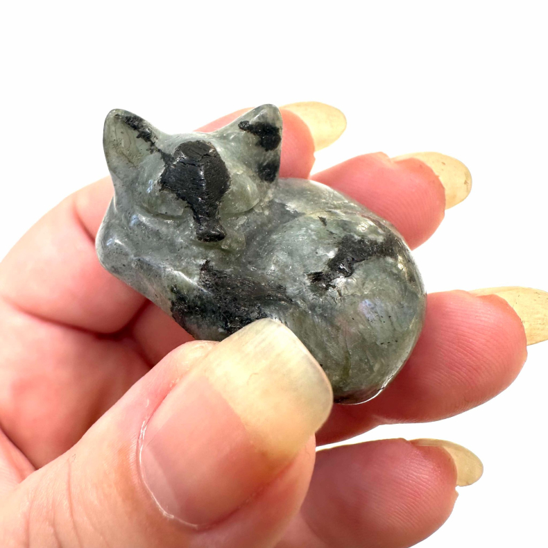 Labradorit, sovende kat 