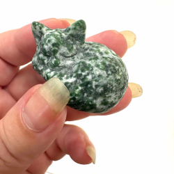 Mos Agat, sovende kat