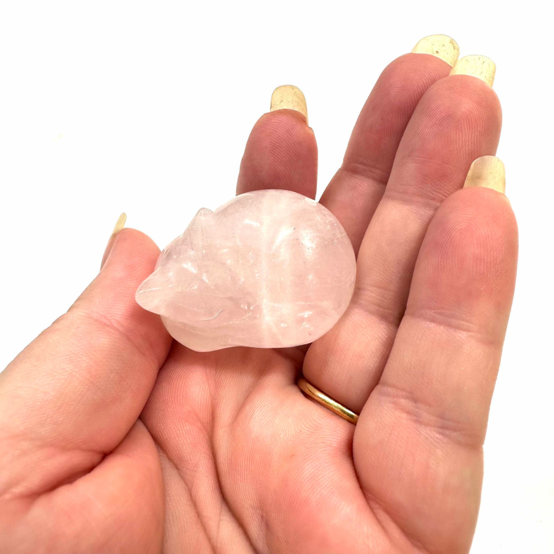 Rosakvarts, sovende kat