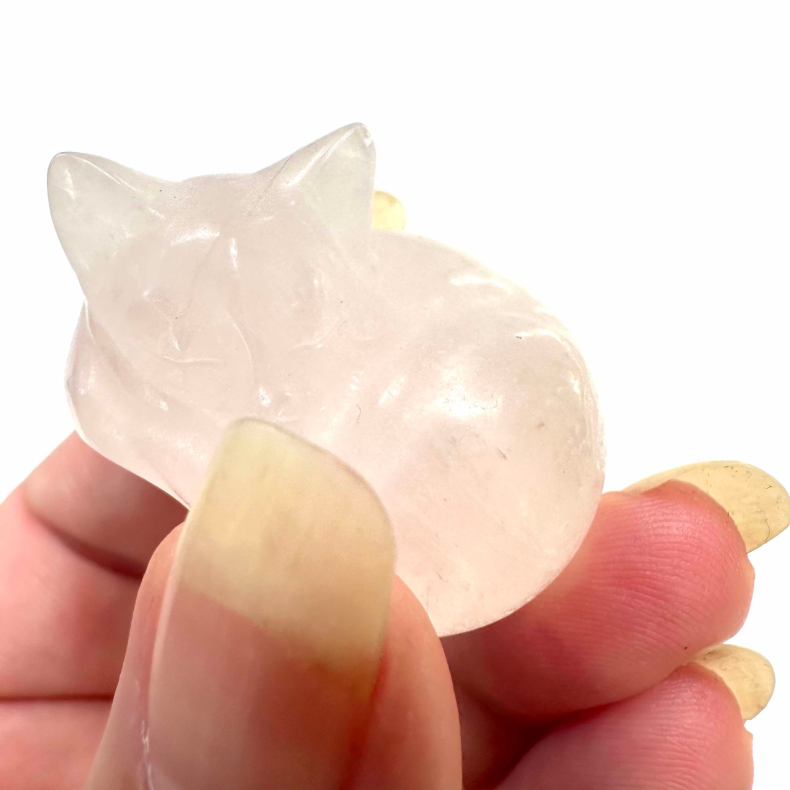 Rosakvarts, sovende kat