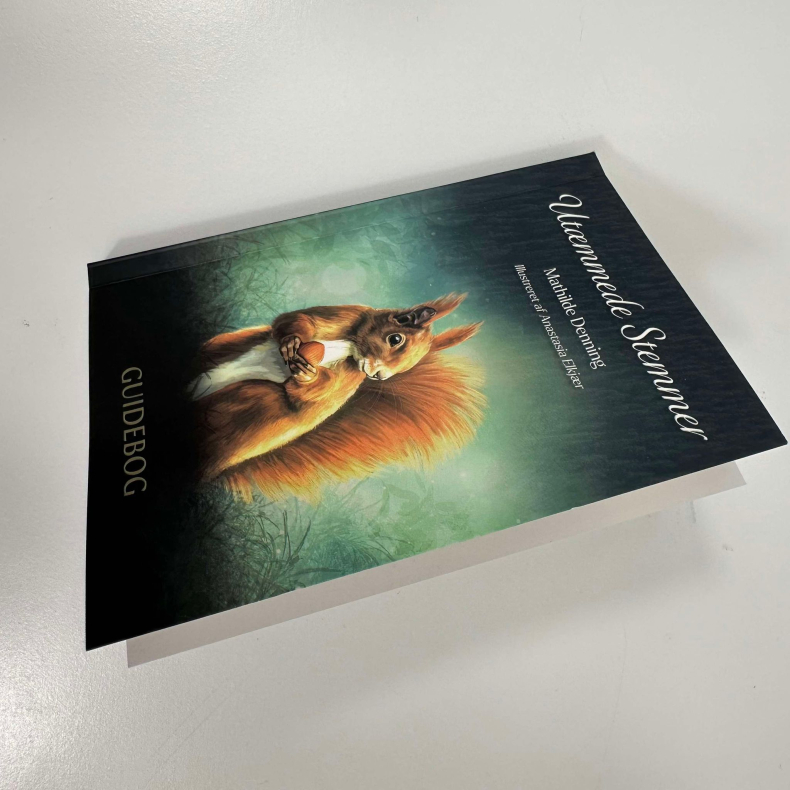 Utmmede Stemmer, orakelkort 