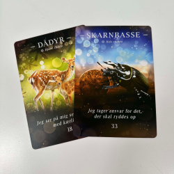 Utmmede Stemmer, orakelkort 