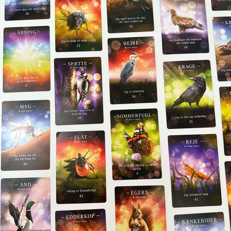 Utmmede Stemmer, orakelkort 