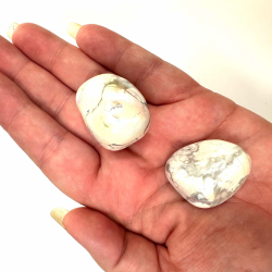 Aura Howlit, Lommesten