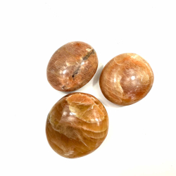 Fersken Mnesten Palmston 