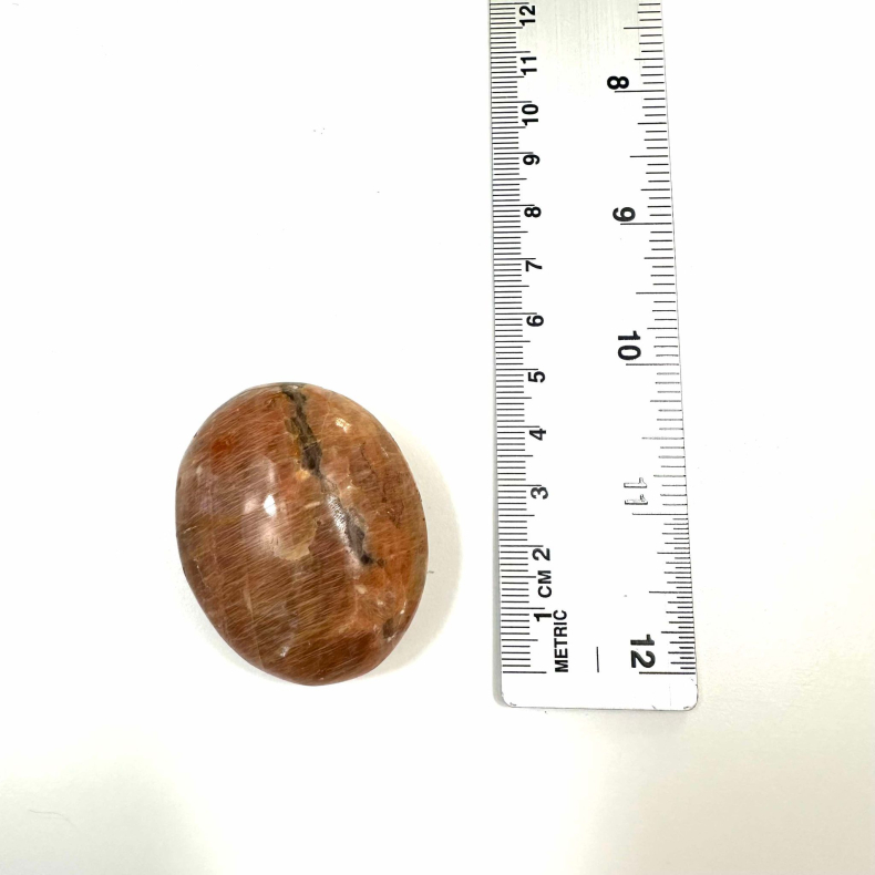 Fersken Mnesten Palmston 