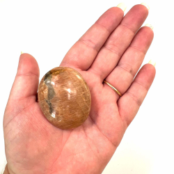 Fersken Mnesten Palmston 