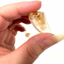 Brndt Citrin R, lille 