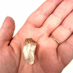 Brndt Citrin R, lille 